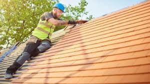 Best Roof Moss and Algae Removal  in Madison Heights, MI