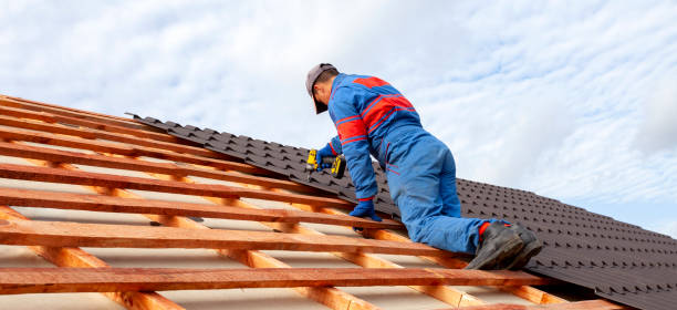 Best Roof Moss and Algae Removal  in Madison Heights, MI