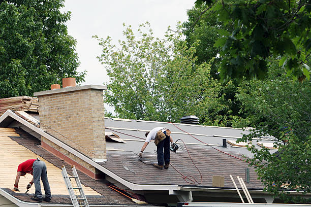 Best Roof Ventilation Installation  in Madison Heights, MI