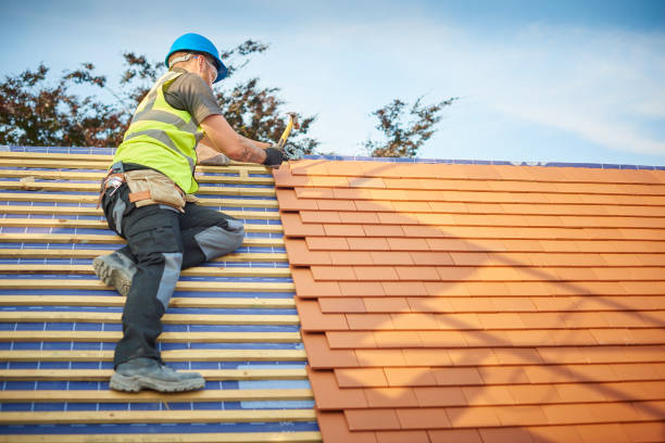 Best Solar Panel Roofing Installation  in Madison Heights, MI
