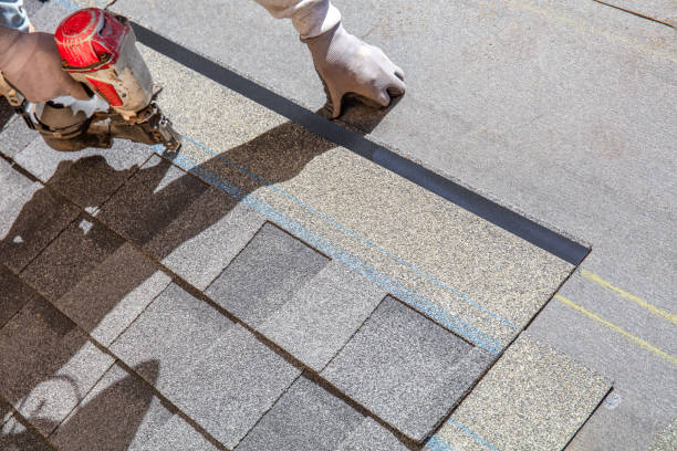 Best Roof Maintenance and Cleaning  in Madison Heights, MI